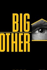 Watch Big Brother Vidbull